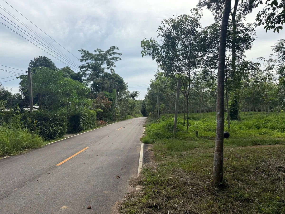 รูป ขายสวนยาง 17.5 ไร่ ต.คลองกวาง อ.นาทวี จ.สงขลา - รูปที่ 2/7