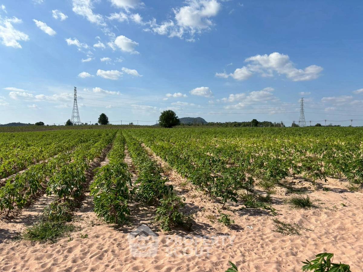 รูป ที่ดินสำหรับปล่อยขาย 227,200 ตารางเมตร แถว ใกล้ บ่อวิน (ID 2471224) - รูปที่ 2/5