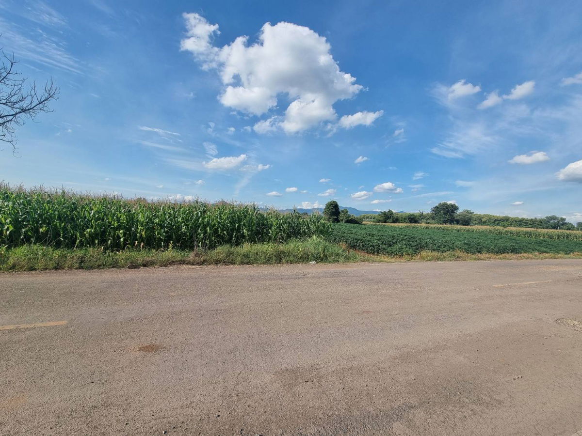 รูป ขายที่ดิน 20ไร่เศษ ต.ลาดแค ชนแดน ขายเหมายกแปลง1.9 ล้าน - รูปที่ 3/9