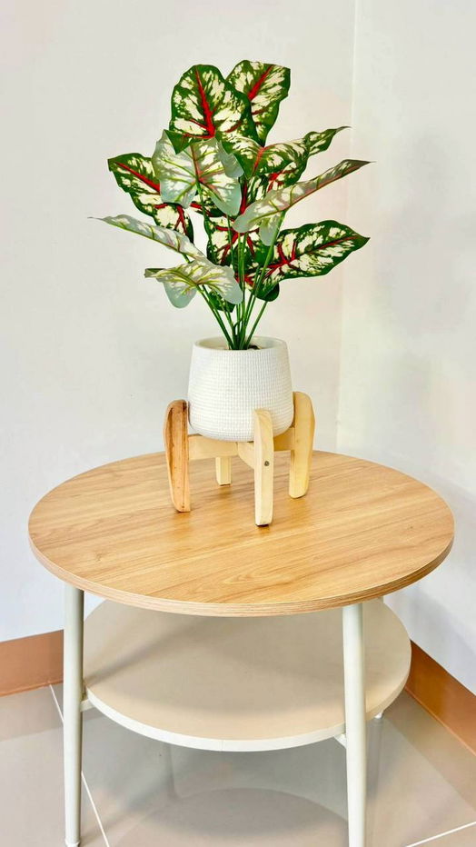 รูป บ้านสวย 4 ห้องนอน พร้อมอยู่ #หมู่บ้านพฤกษา 18 ซอยแก้วอินทร์ บางใหญ่ ใกล้เซ็นทรัล เวสเกต ใกล้ MRT ตลาดบางใหญ่ - รูปที่ 4/19