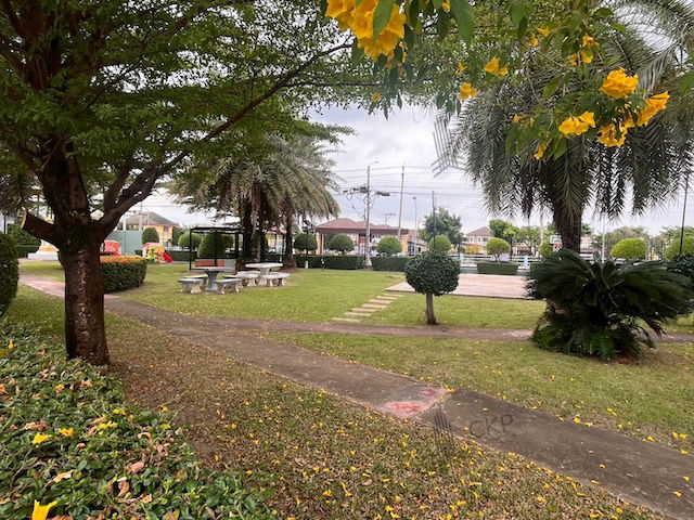 picture Two-story detached house, corner unit, in a tranquil setting on Ratchaphruek Road, near Robinson Ratchaphruek. Convenient transportation. - 11/22