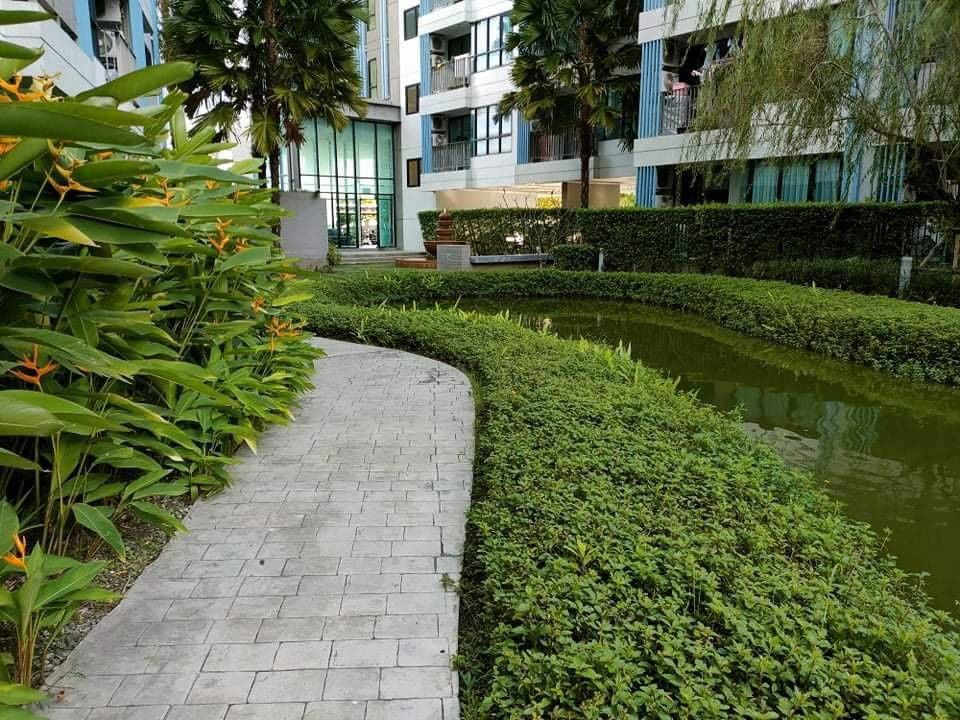 รูป ห้อง studio ให้เช่าใกล้ central ภูเก็ต - รูปที่ 14/15