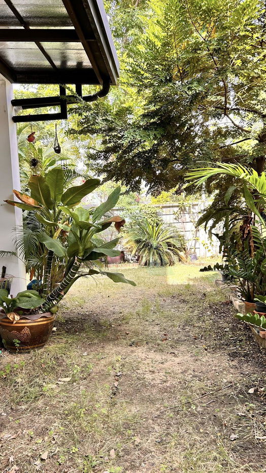 picture 📌 For Sell House IRIS PARK CHAIYAPRUK-WONGWAEN 2-story 3 bedroom 3 bathroom - 6/8