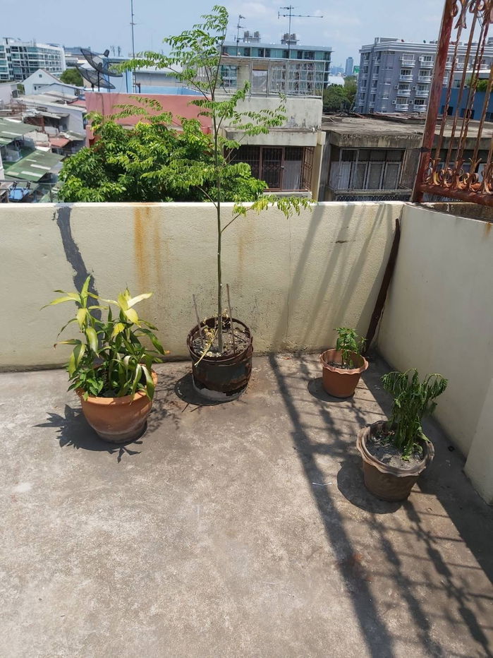 รูป ห้องว่างให้เช่า พหลโยธิน 32 (ซอยเสนาานิคม 1 ซอย 3) ใกล้ BTS เสนานิคม ทางเข้าตลาดสดบางเขน โรงพยาบาลเมโย เมเจอร์รัชโยธิน - รูปที่ 5/6