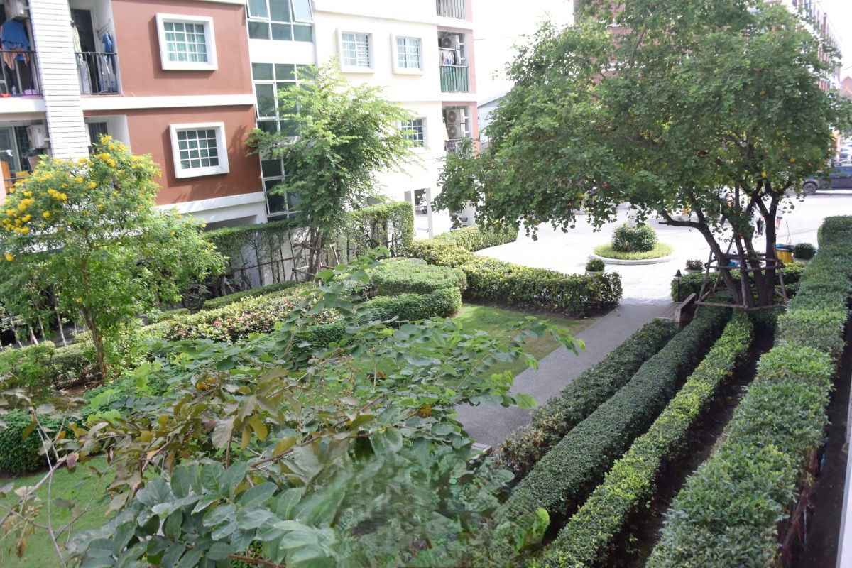 รูป ให้เช่า ทิวลิป สแควร์ อ้อมน้อย ห้องใหม่ มีเครื่องซักผ้า - รูปที่ 17/18