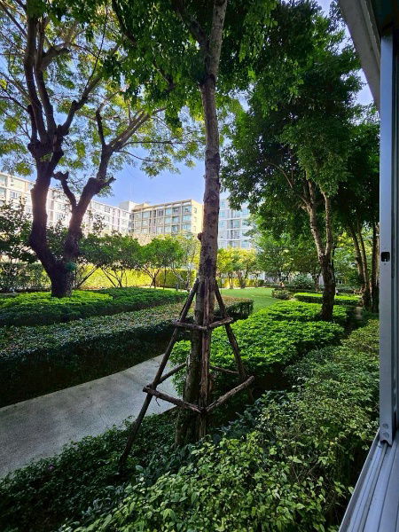 picture For Sale: D Condo Sign – 1 Bedroom, 1 Bathroom, 30 sq.m., 1st Floor, Garden View (ID:1260CS) - 9/13