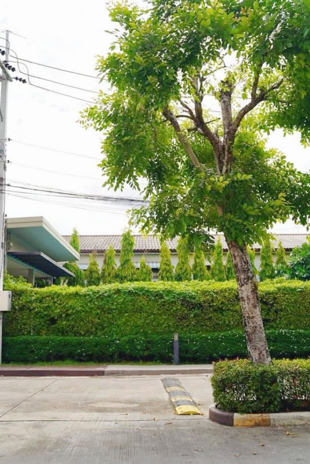 รูป บ้านต้นคลองรังสิตใกล้ฟิวเจอร์ ลุมพินี ทาวน์วิลล์ รังสิตคลอง2 - รูปที่ 30/32