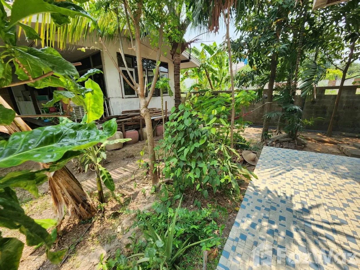 รูป ขาย บ้านเดี่ยว 3 ห้องนอน ในโครงการ บ้านสวัสดิการนายทหาร 5872313 - รูปที่ 5/13