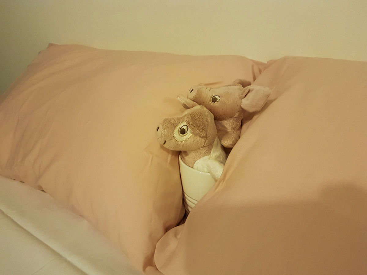 รูป รีบด่วนมาเร็วไปเร็ว ให้เช่า ASPIRE Erawan แอสปาย เอราวัณ รหัสทรัพย์ P3181 - รูปที่ 7/7