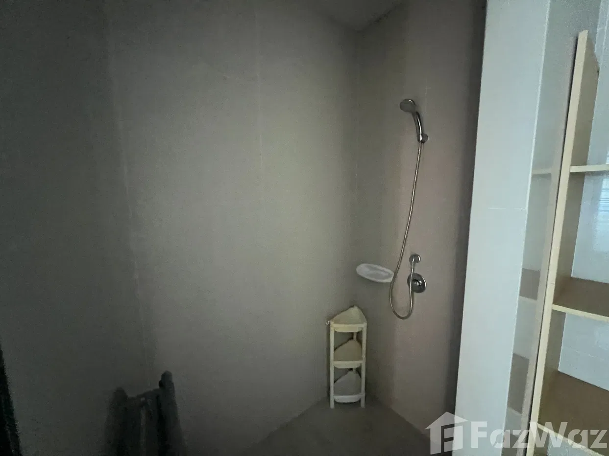 picture . 5924760 - 18/19