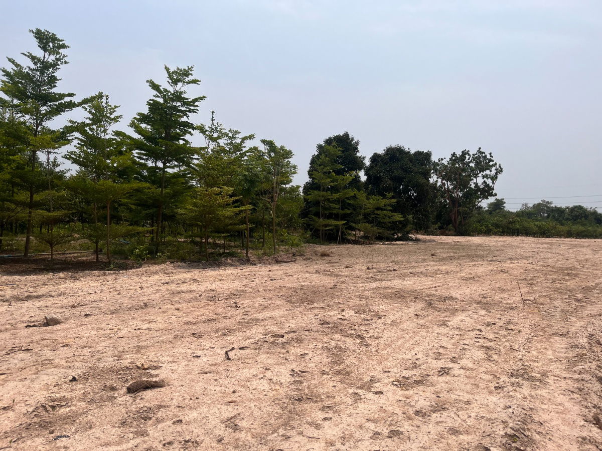 รูป ขายที่ดินแปลงสวย ทำเลดี ในเมือง ปราจีนบุรี กว่า 50 ไร่ - รูปที่ 13/18