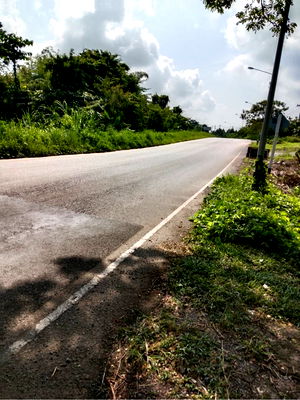 ที่ดิน จันทบุรี : ที่ดิน5ไร่2งาน61ตรว.(เจ้าของขายเอง)ต่อรองได้