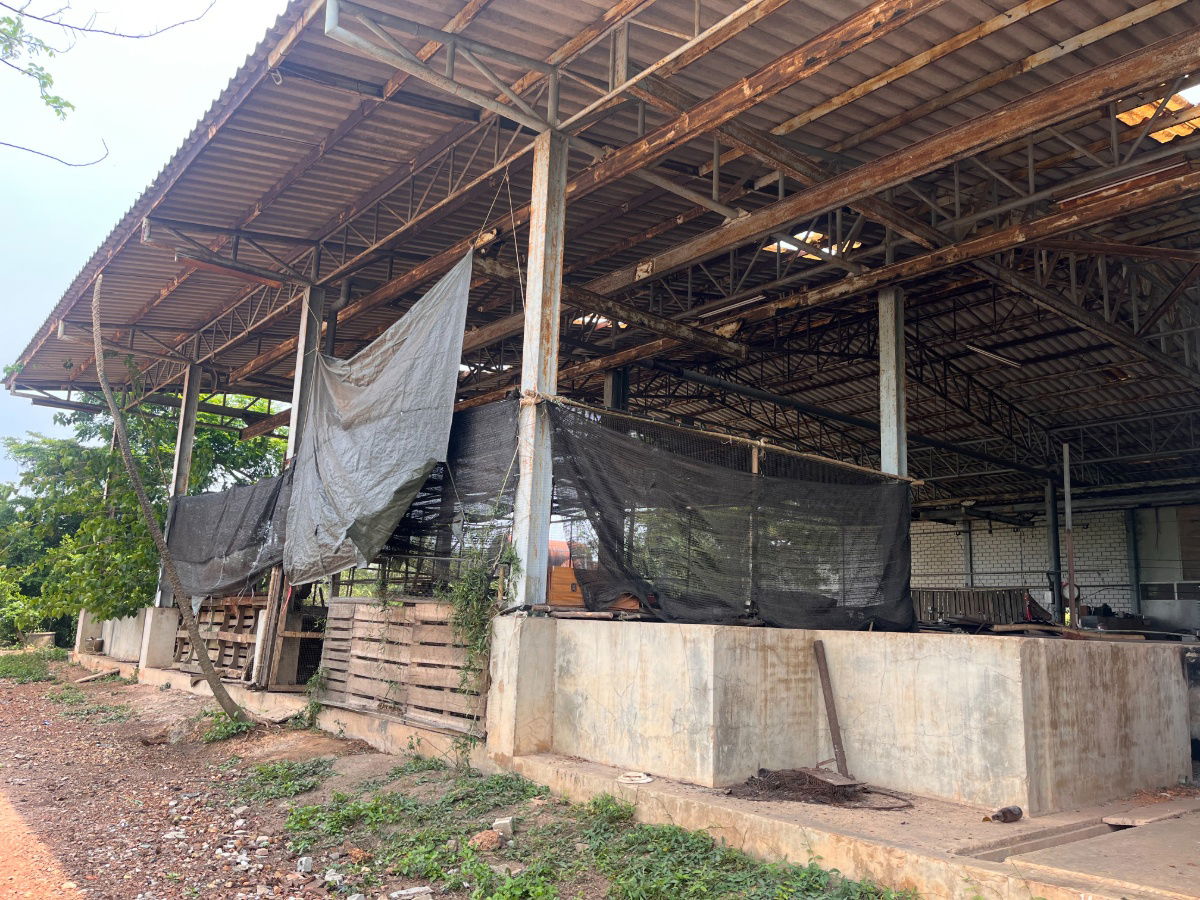 รูป ขายที่ดินแปลงสวย ทำเลดี ในเมือง ปราจีนบุรี กว่า 50 ไร่ - รูปที่ 6/18