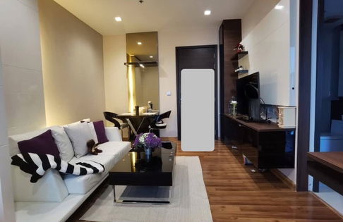  Ivy                           Ampio 