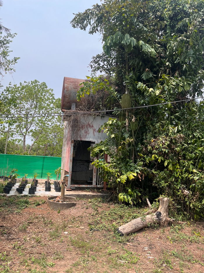 รูป ขายที่ดินแปลงสวย ทำเลดี ในเมือง ปราจีนบุรี กว่า 50 ไร่ - รูปที่ 3/18