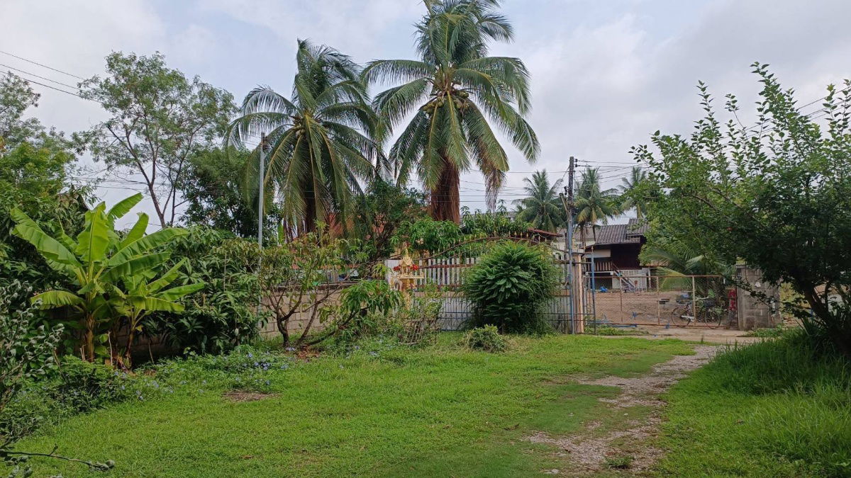 รูป ขายที่ดินพร้อมสิ่งปลูกสร้าง อ.แม่สอด จ.ตาก ขนาด 150 ตร.วา - รูปที่ 2/5