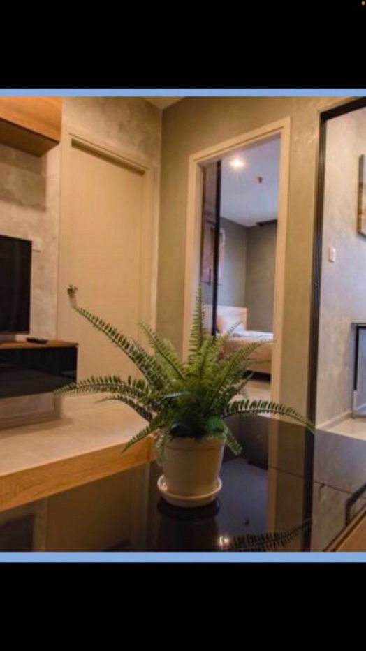 picture Condo for Rent: Life Sukhumvit 48 Near BTS Phra Khanong - 8/10