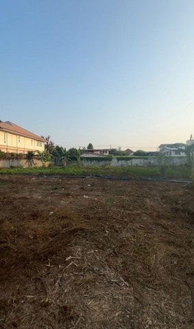 รูป TD1155 ให้เช่าที่ดินแปลงงาม ย่านสนามบินน้ำ นนทบุรี - รูปที่ 8/8