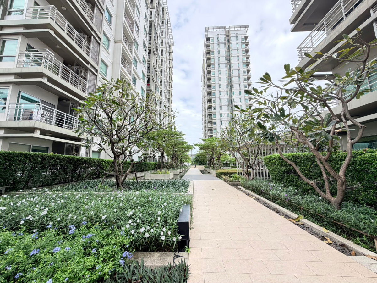 รูป โครงการ เดอะรูม รัชดา-ลาดพร้าว 🏡 ขายถูก 4.45 ล้านบาท เท่านั้น 👍🏻 - รูปที่ 10/15