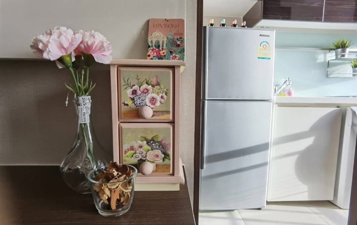 picture Ivy Ampio - 3/8