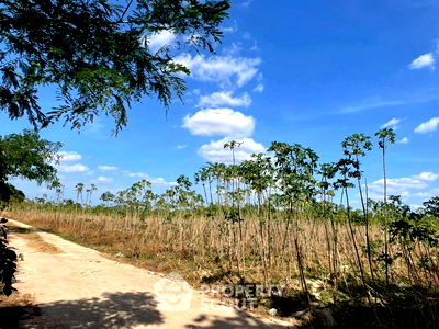 Land for rent นิคมอุตสาหกรรม อีสเทิร์นซีบอร์ด : 83,200 m² Land for Rent in Khao Khan Song (ID 2472686)