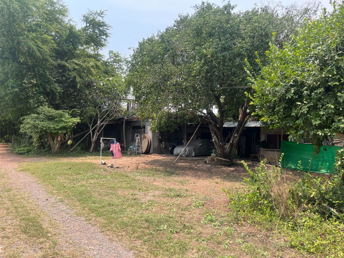 รูป ขายที่ดินแปลงสวย ทำเลดี ในเมือง ปราจีนบุรี กว่า 50 ไร่ - รูปที่ 1/18