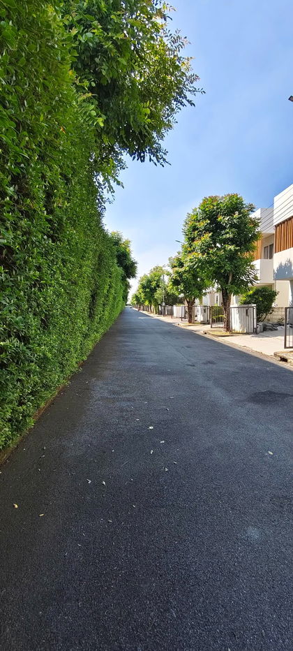 รูป Modern Single House For Rent **Pet friendly** - รูปที่ 35/36