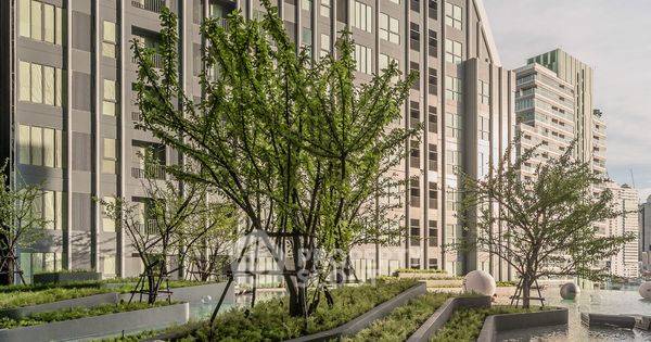 รูป คอนโด 1-ห้องนอน ที่ ไอดีโอ คิว จุฬา-สามย่าน ใกล้ MRT สามย่าน (ID 1465396) - รูปที่ 25/33