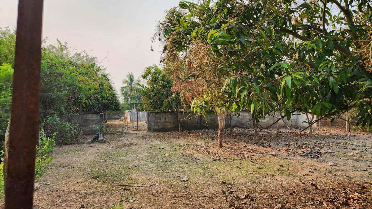 รูป ขายที่ดินถมแล้ว 4-0-40 ไร่ น้ำไม่ท่วม เหมาะแก่การทำสวนและปลูกบ้าน ต.หนองปลาสะวาย อ.บ้านโฮ่ง จ.ลำพูน - รูปที่ 2/17