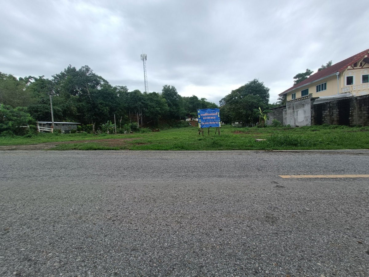 รูป ขายที่ดิน 3-1-91 ไร่ (ที่ดิน 1,391 ตรว.) ปากช่อง จ. นครราชสีมา ห่างจากถนนมิตรภาพเพียง 250 เมตร น้ำไม่ท่วม ใกล้แหล่งชุมชน ราคา 16,692,000 บาท - รูปที่ 5/10