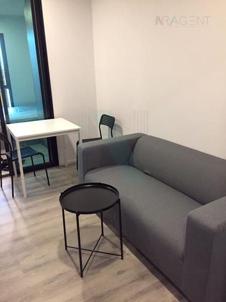 รูป ให้เช่า น็อตติ้งฮิลล์ สุขุมวิท 105 1 นอน 1 นอน ขนาด 25 ตรม - รูปที่ 1/8