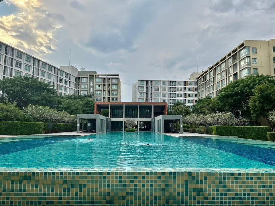 picture ✅ For Rent: D Condo Sign, Building C, 8th Floor, Size... 30 sq m, 9,500 baht. ☎️064-792-4426 (Ben) - 7/8