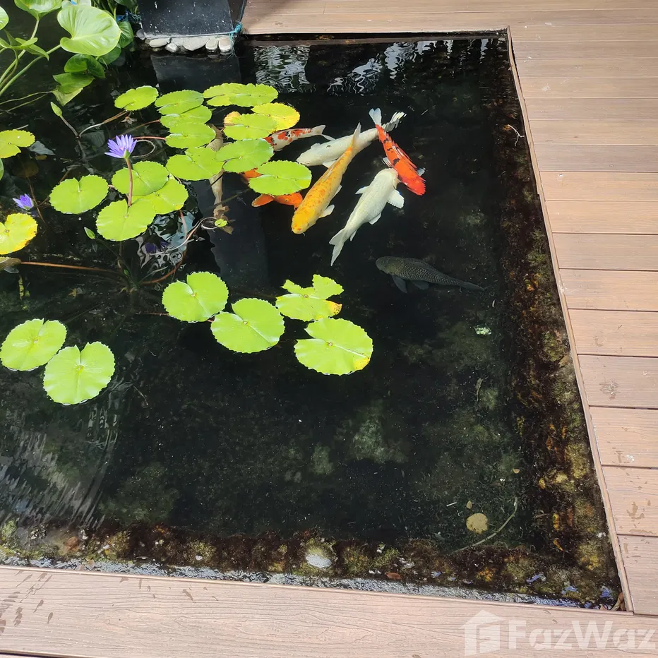 รูป ขาย คอนโด 1 ห้องนอน ในโครงการ เซอร์เคิล คอนโดมิเนียม 5911200 - รูปที่ 5/7