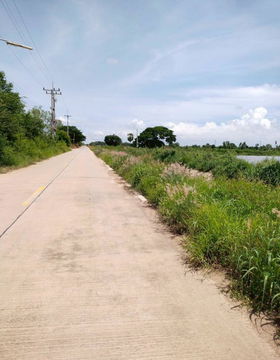 ขายที่บ่อปลา ติดคลอง 9 ถึง 30 ไร่ ติดถนน ต.ท่าข้าม อ.พนัสนิคม จ.ชลบุรี