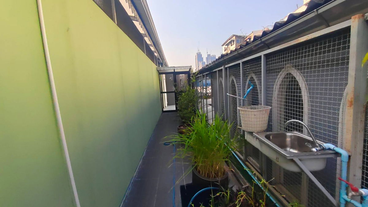 รูป ขาย บ้านเดี๋ยว 87 ตร.ว. สไตล์ไทย บ้าน 2 ชั้น บางซื่อ - รูปที่ 35/37