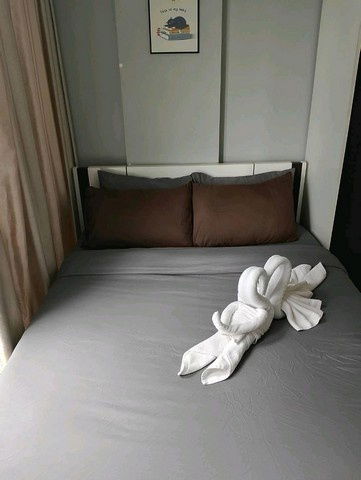 รูป C6459 ให้เช่า : คอนโด เดอะ คีย์ ประชาชื่น ( MRT วงศ์สว่าง ) 064 665 4666 - รูปที่ 3/12