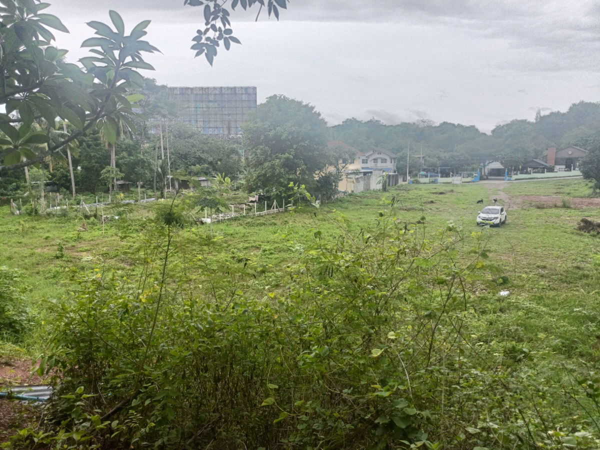 รูป ขายที่ดิน 3-1-91 ไร่ (ที่ดิน 1,391 ตรว.) ปากช่อง จ. นครราชสีมา ห่างจากถนนมิตรภาพเพียง 250 เมตร น้ำไม่ท่วม ใกล้แหล่งชุมชน ราคา 16,692,000 บาท - รูปที่ 10/10