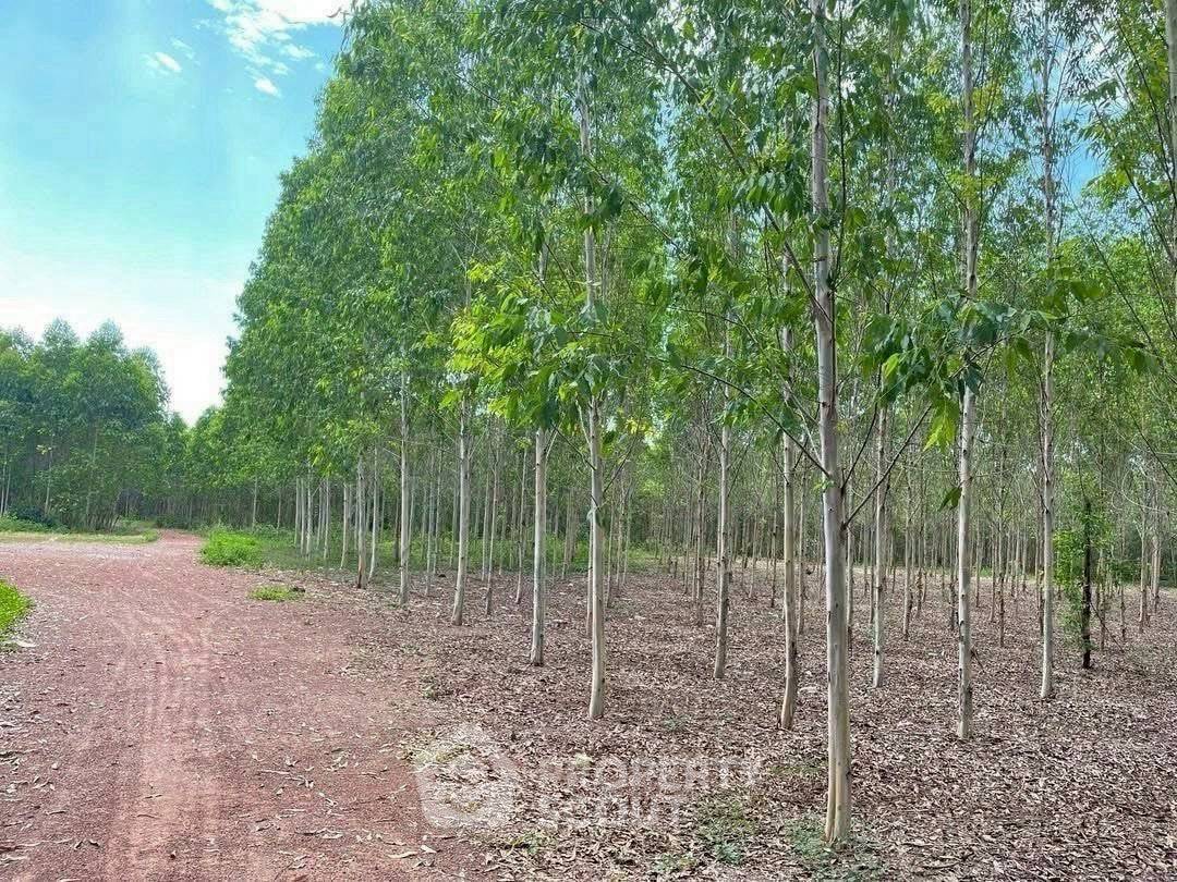 picture 315,200 m² Land for Sale close to Laem Chabang (ID 2474496) - 3/5