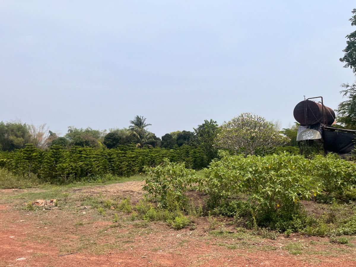 รูป ขายที่ดินแปลงสวย ทำเลดี ในเมือง ปราจีนบุรี กว่า 50 ไร่ - รูปที่ 14/18