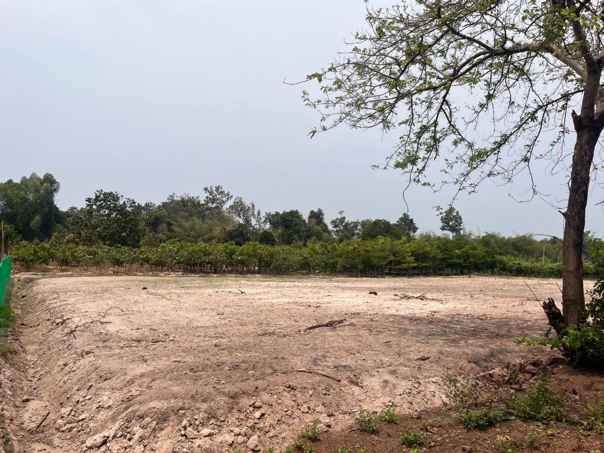 รูป ขายที่ดินแปลงสวย ทำเลดี ในเมือง ปราจีนบุรี กว่า 50 ไร่ - รูปที่ 9/18