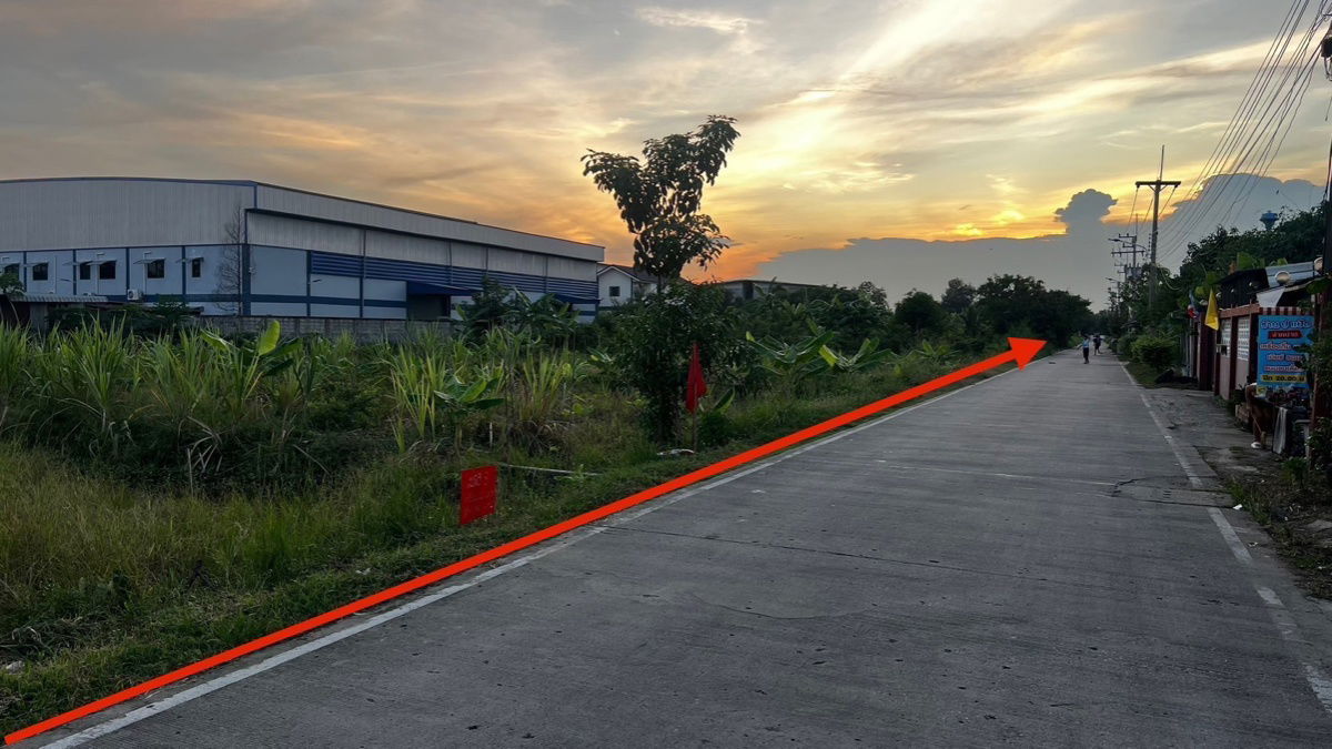 รูป ขายที่ดินคลองสาม คลองหลวง ปทุมธานี เปิดแปลงใหม่ ราคาดี 100 ตารางวา เพียง 850,000 บาท - รูปที่ 5/7