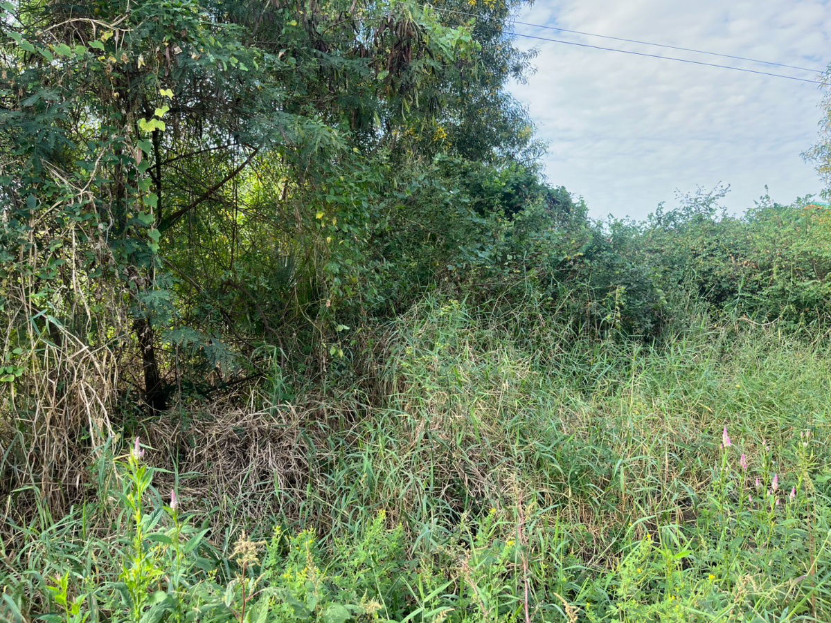 รูป ขายที่ดิน 1 ไร่ 378 ตารางวา ติดแม่น้ำนครนายก อ.องครักษ์ ขายยกแปลง 990,000 บาท - รูปที่ 16/17