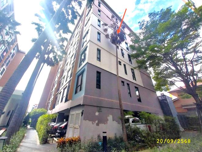 รูป คอนโดมิเนียม 2 ห้องนอน, 50.21 ตารางเมตร คอนโดมิเนียม สำหรับขาย เดอะ ไพรเวซี เรวดี โครงการซี ตลาดขวัญ เมืองนนทบุรี นนทบุรี - รูปที่ 13/32