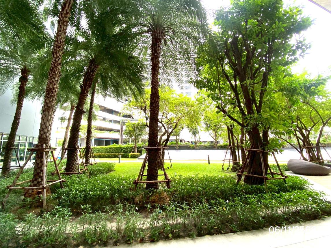 picture CONDO Studio, 21.99 Square meter for sale at CONDO for sale Bang Na Bang Na Bangkok - 19/24