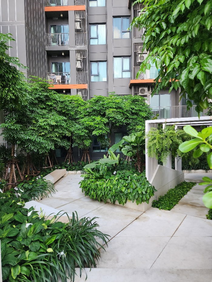 รูป For rent🌿😊 C ekkamai 33sqm 36floor good view 🌼 - รูปที่ 21/21