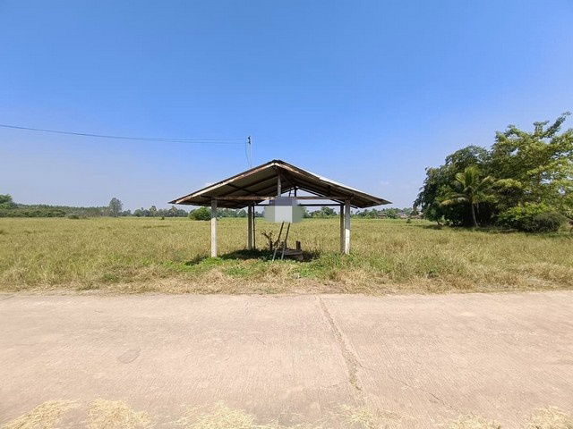 รูป BP00184 ขายที่ดินว่างเปล่า ตำบลท่าสัก อำเภอพิชัย อุตรดิตถ์ - รูปที่ 7/8