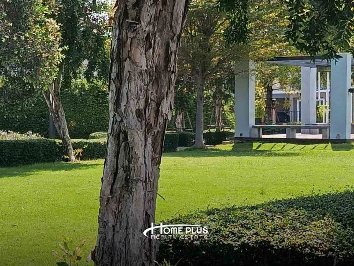 รูป บ้านเดี่ยว 2 ชั้น เดอะ แพลนท์ เทพารักษ์ (The Plant Thepharak) - รูปที่ 14/18