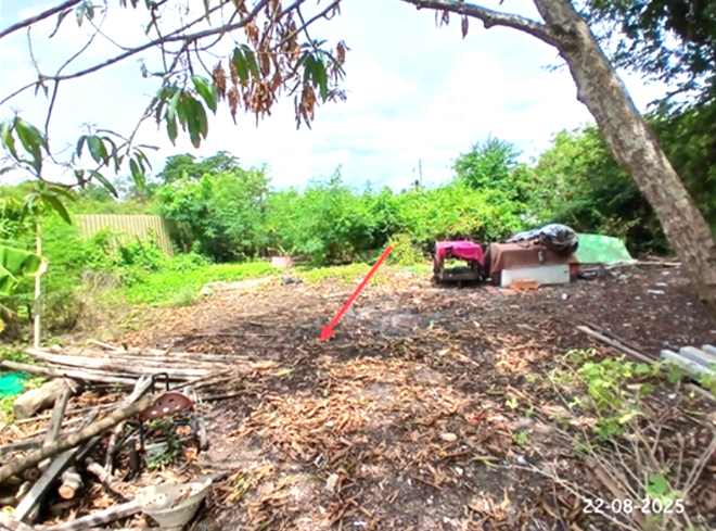 รูป ที่ดินว่างเปล่า สำหรับขาย - คลองใหม่ สามพราน นครปฐม - รูปที่ 2/12