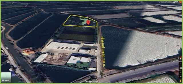 รูป ขายที่ดิน ทำเลดี 8 ไร่ ผังสีเหลือง ถนนรัตนโกสินทร์ 200 ปี บางบ่อ - รูปที่ 5/7