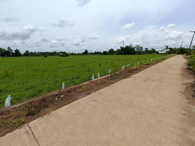 รูป BP00184 ขายที่ดินว่างเปล่า ตำบลท่าสัก อำเภอพิชัย อุตรดิตถ์ - รูปที่ 3/8